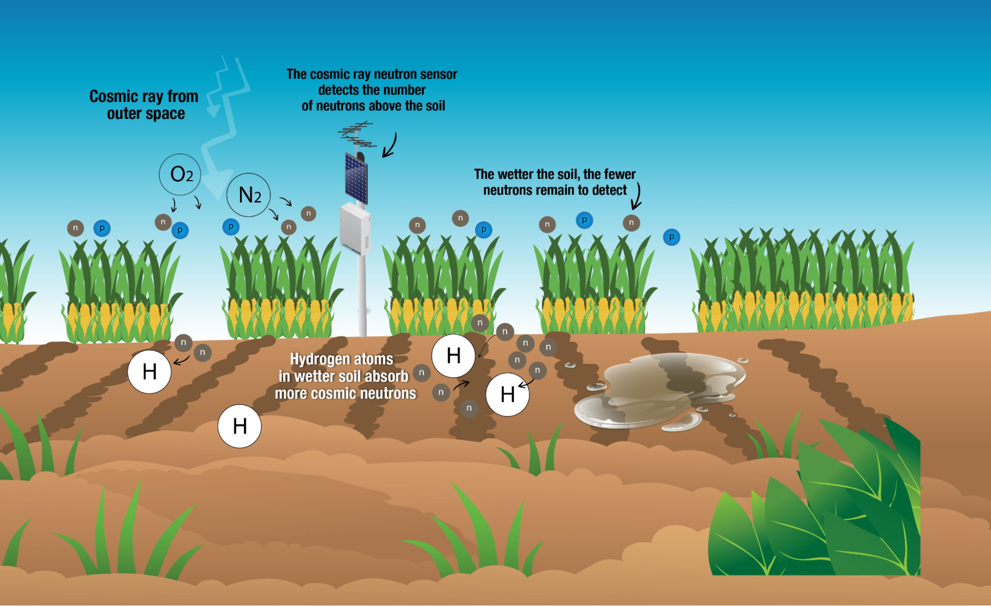 ISMON soil moisture measurement diagram